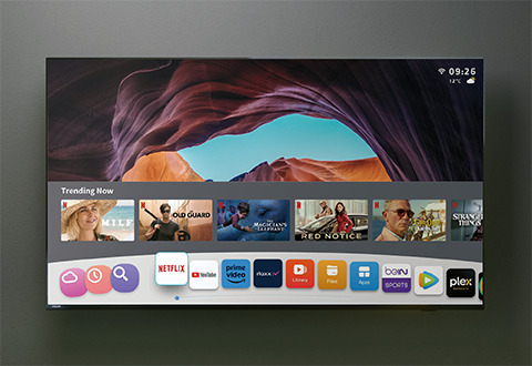 Google TV